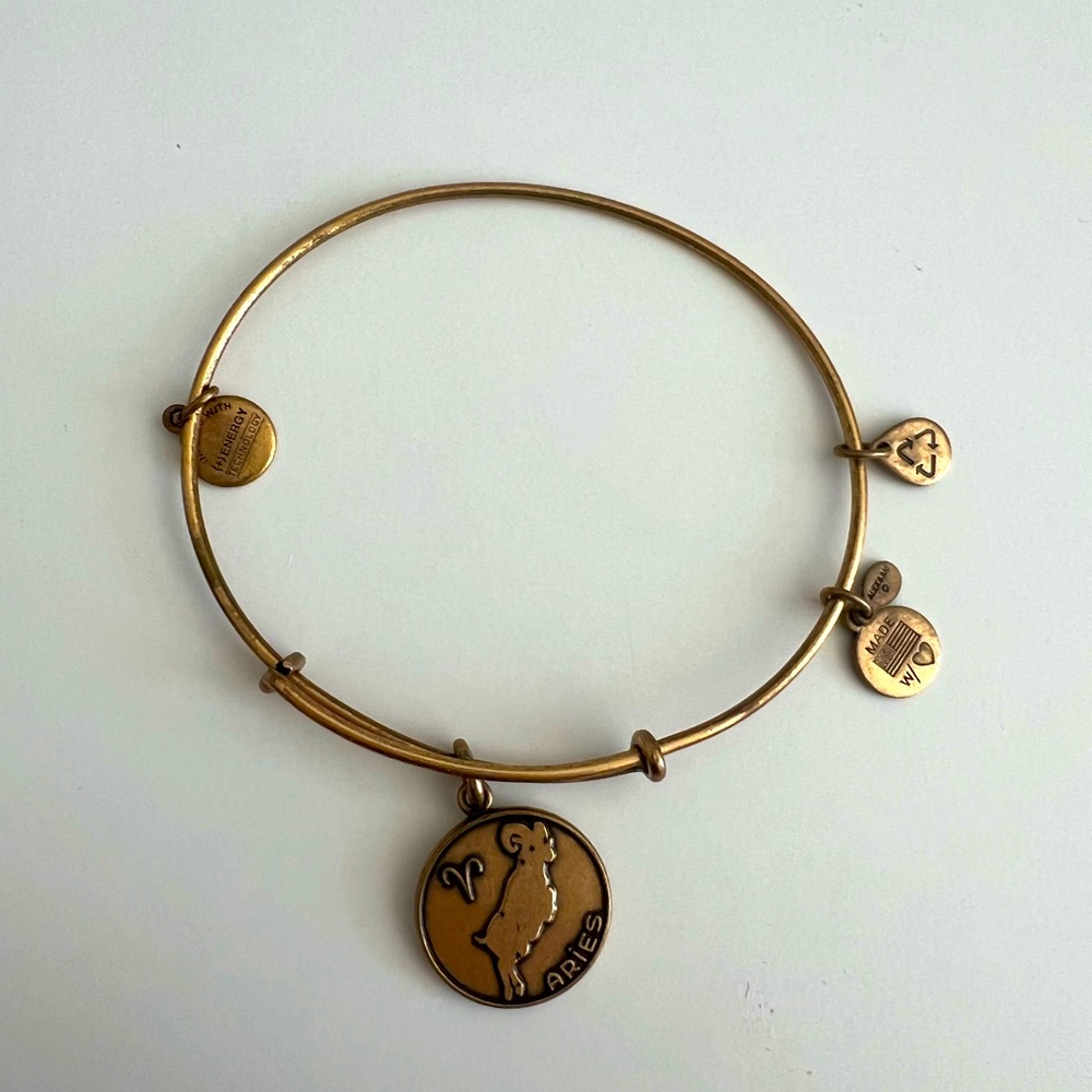 ALEX AND ANI aries charm bangle
